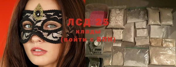 прущие грибы Пролетарск