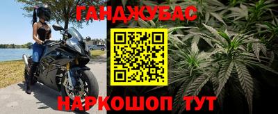стаф Кандалакша
