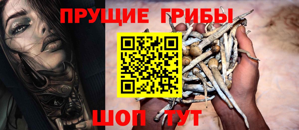 купить   Вход с VPN  Балашов  Псилоцибиновые грибы Psilocybine cubensis 